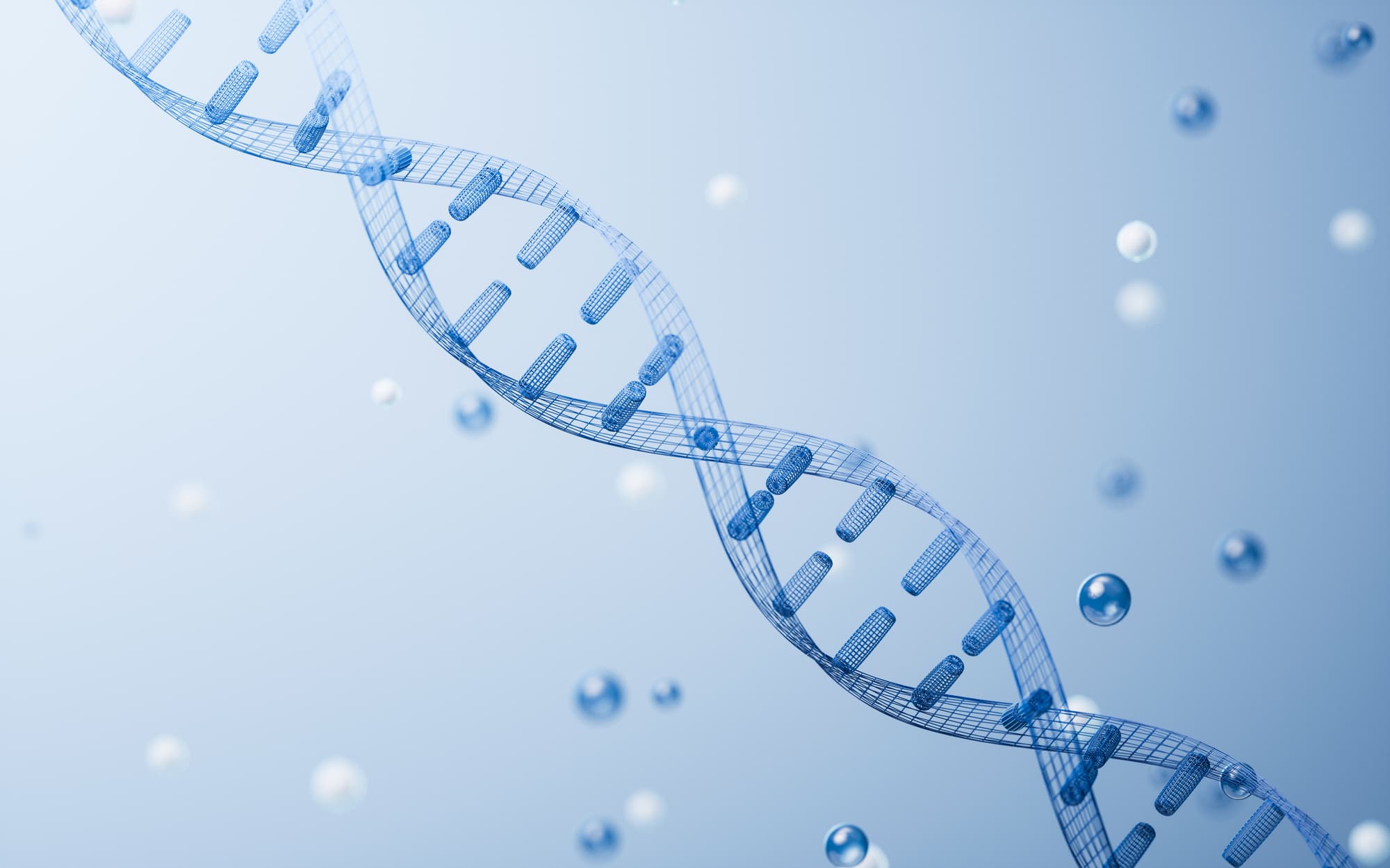 遺伝的な影響のイメージ